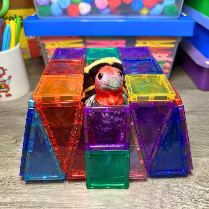 Turkey Trap Thanksgiving STEM Activity How to Catch a Turkey