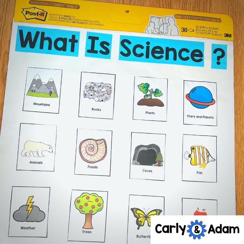 Intro to Kindergarten Science What is Science? Read Aloud STEM Activity