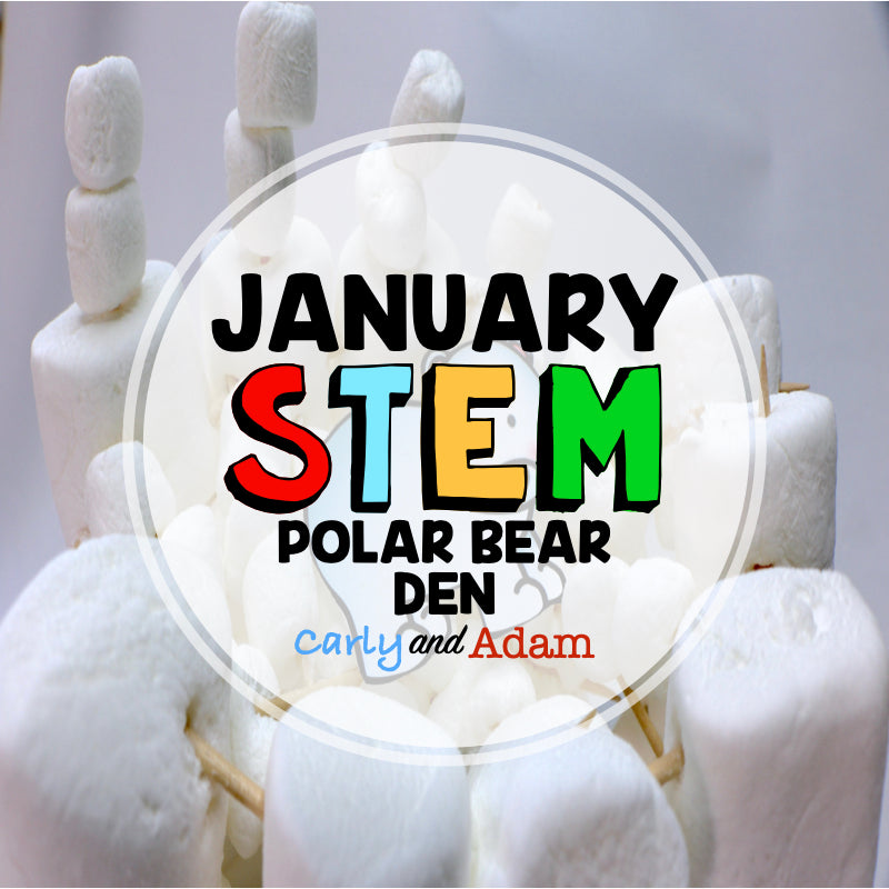 Build a Polar Bear Den January Winter STEM Activity