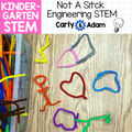 Not a Stick Read Aloud Kindergarten STEM Activity