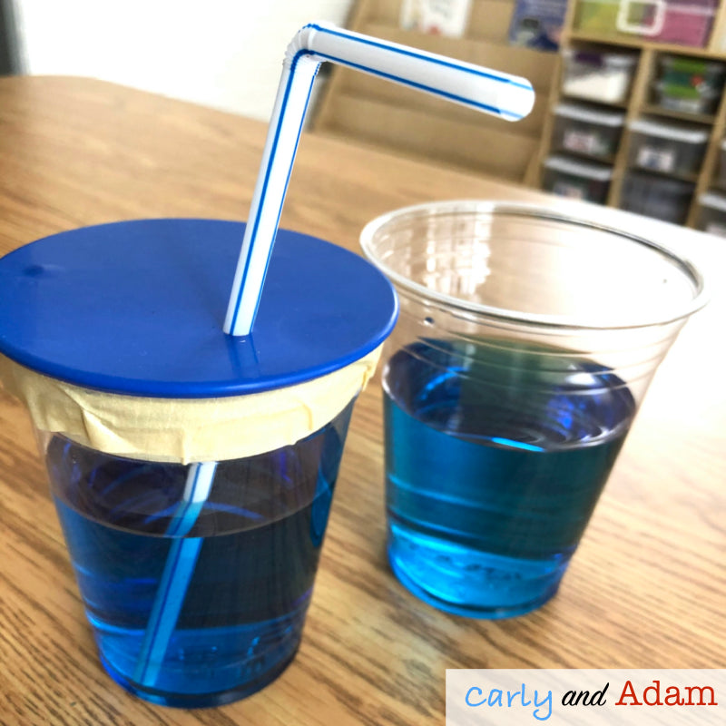 Nya's Long Walk Water Pump READ ALOUD SCIENCE Activity