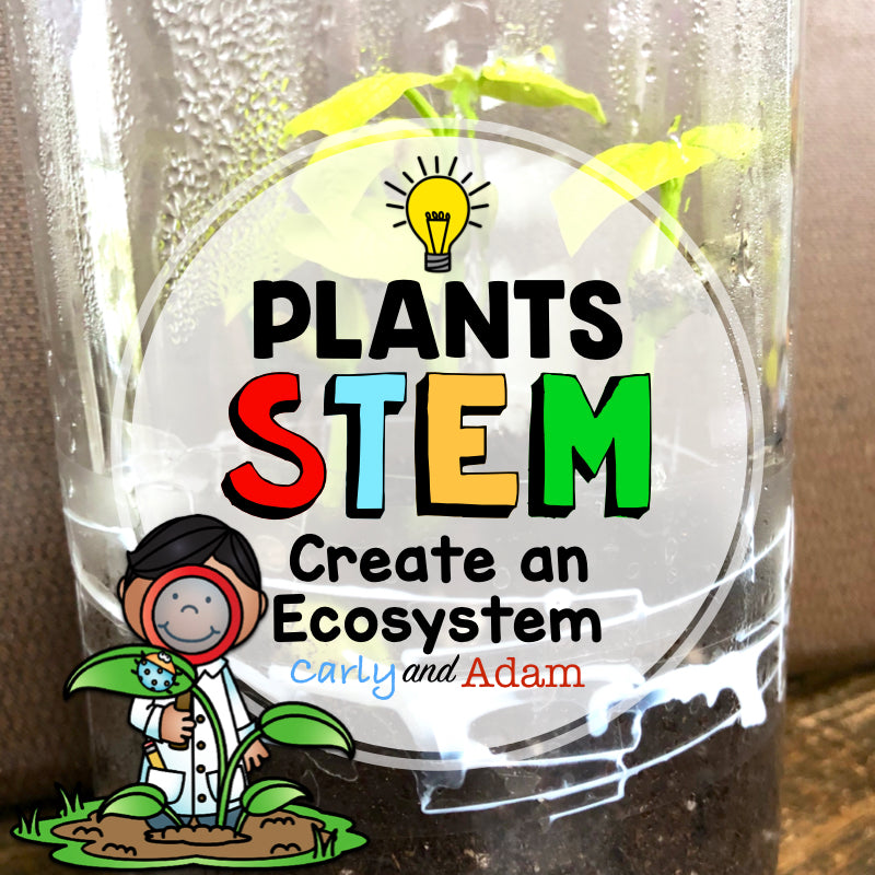 Create a Self-Contained Ecosystem STEM Activity