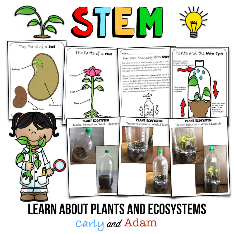 Create a Self-Contained Ecosystem STEM Activity