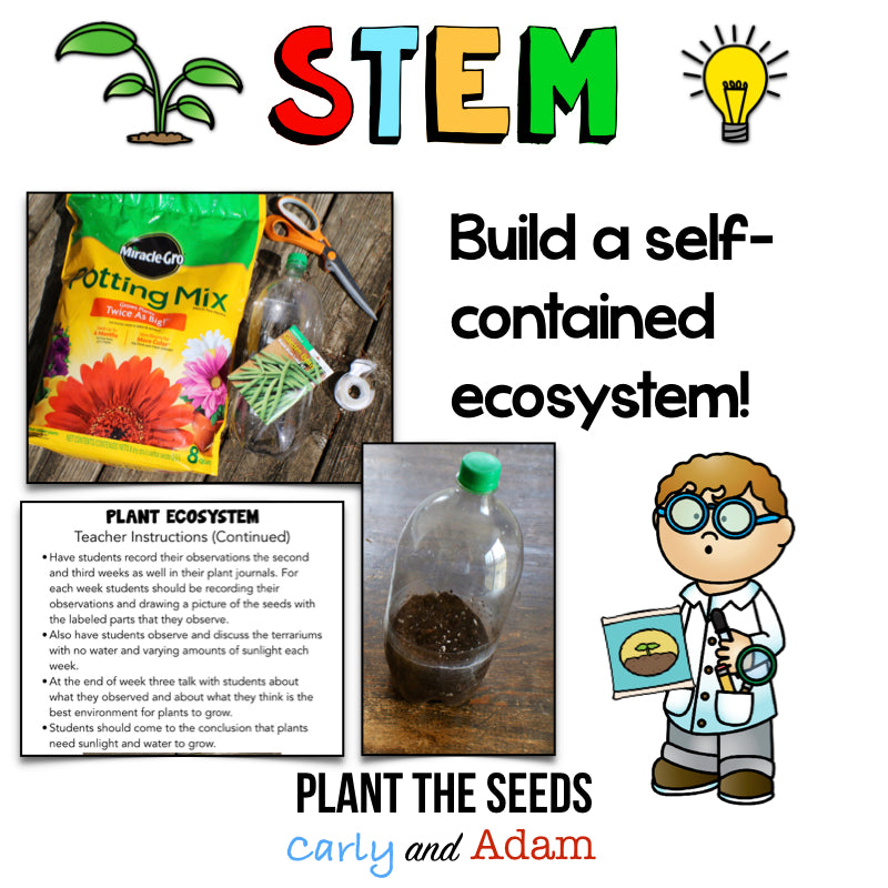 Create a Self-Contained Ecosystem STEM Activity
