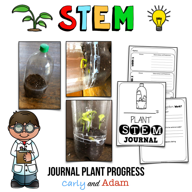 Create a Self-Contained Ecosystem STEM Activity