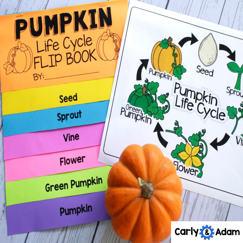 From Seed to Pumpkin Book Pumpkin Life Cycle Flip Book