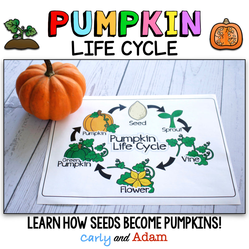 From Seed to Pumpkin Book Pumpkin Life Cycle Flip Book