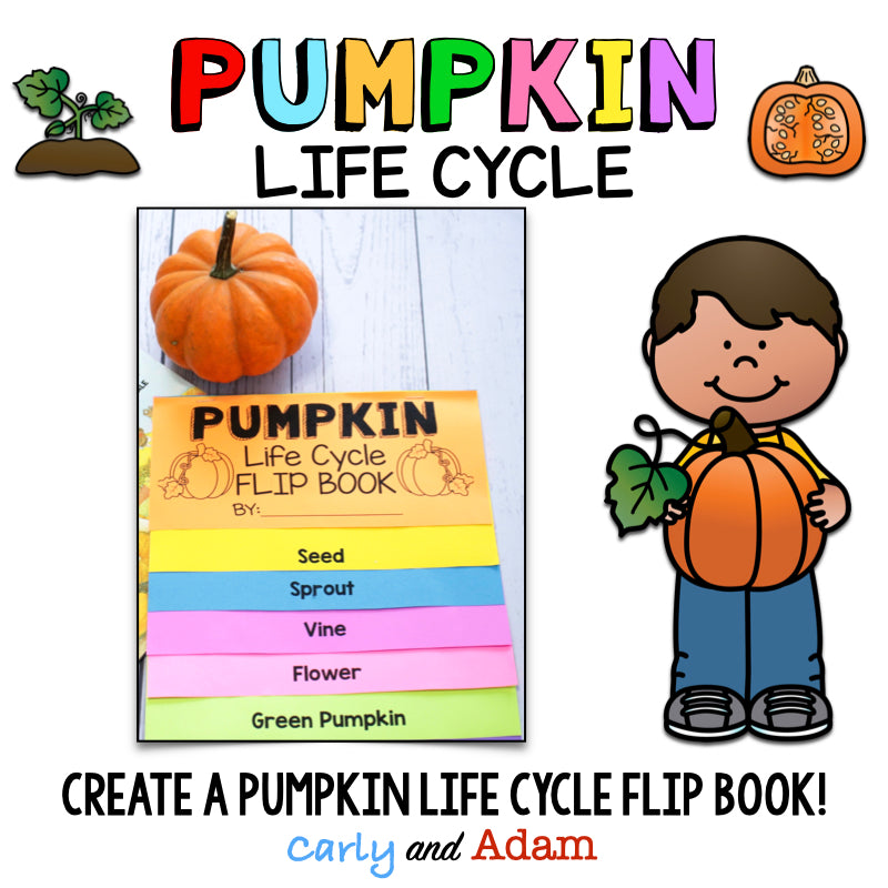 From Seed to Pumpkin Book Pumpkin Life Cycle Flip Book