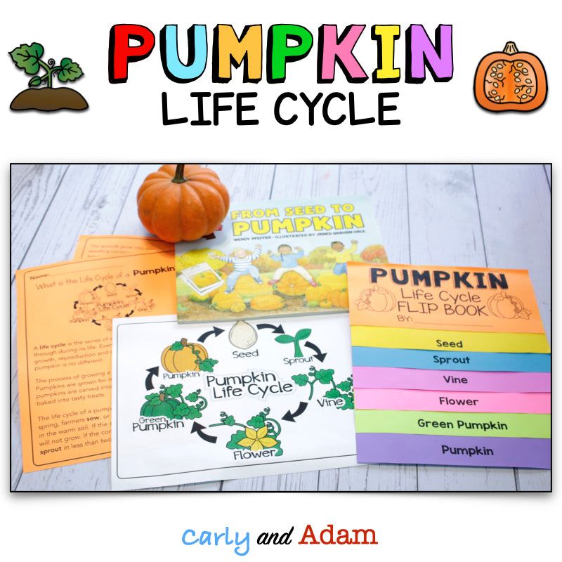 From Seed to Pumpkin Book Pumpkin Life Cycle Flip Book