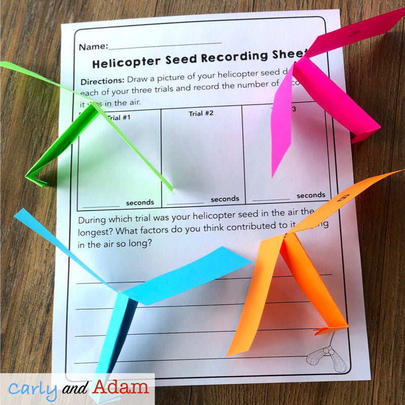 Plant Seed Dispersal Spring STEM Activity