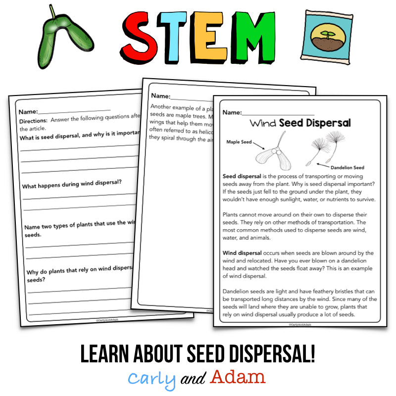 Plant Seed Dispersal Spring STEM Activity