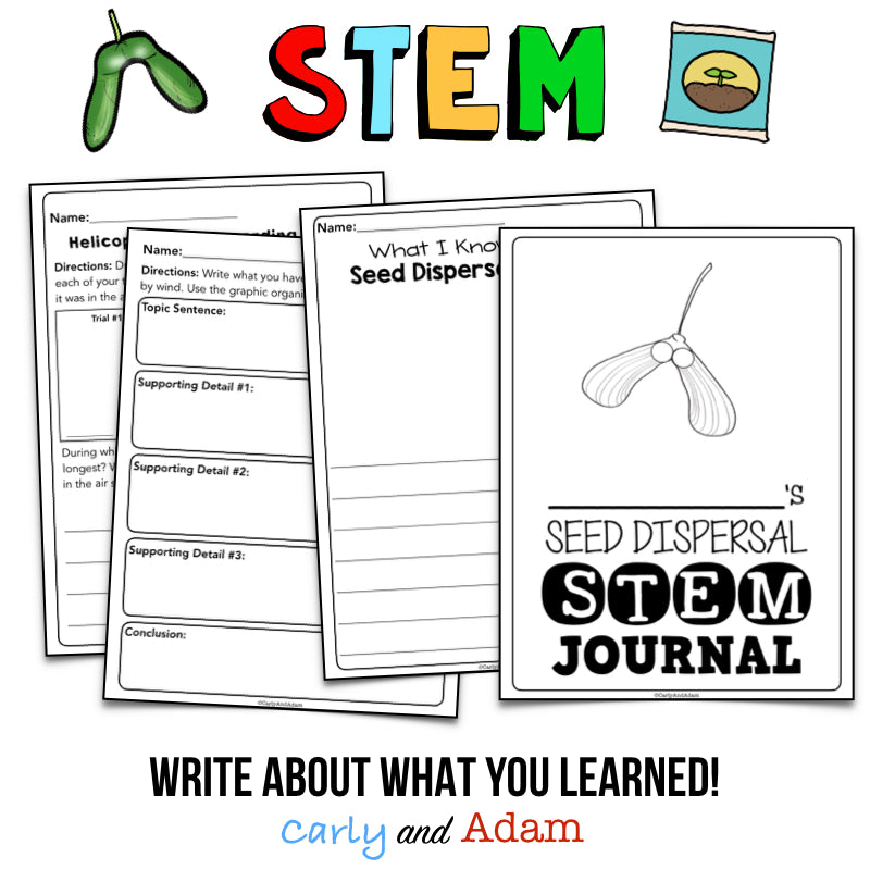 Plant Seed Dispersal Spring STEM Activity