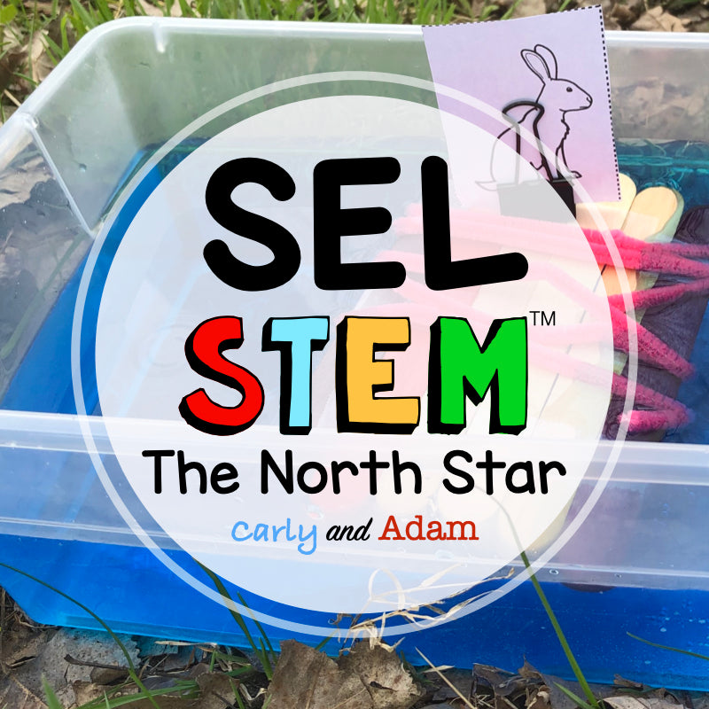 The North Star Self Awareness SEL STEM Activity