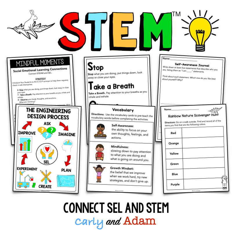 The North Star Self Awareness SEL STEM Activity