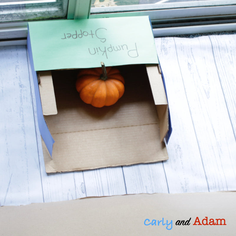 The Runaway Pumpkin READ ALOUD STEM Activity
