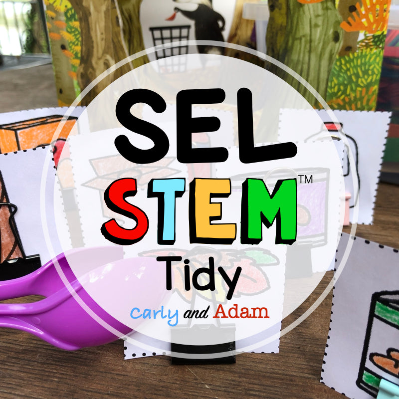 Tidy Responsible Decision Making SEL Activity and STEM Challenge